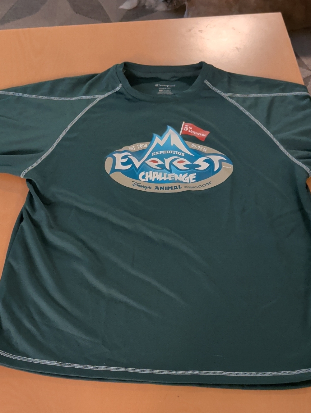 Champion Men’s Dark Green Rash Guard with Everest Challenge Graphic